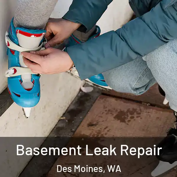  Basement Leak Repair Des Moines, WA
