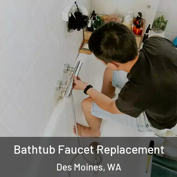  Bathtub Faucet Replacement Des Moines, WA