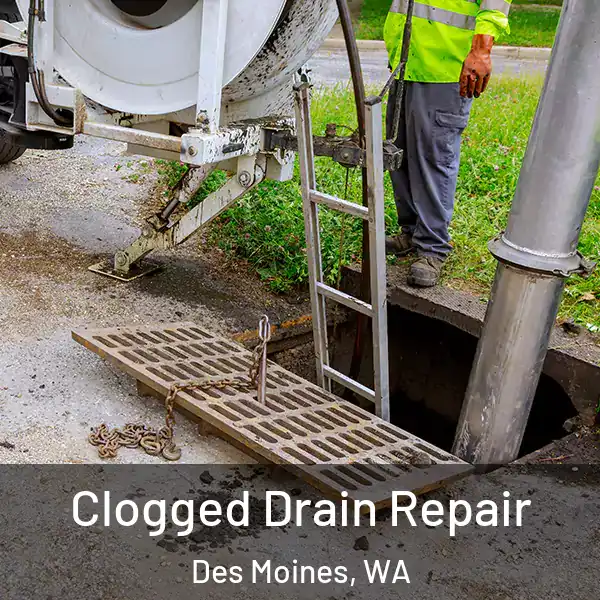  Clogged Drain Repair Des Moines, WA