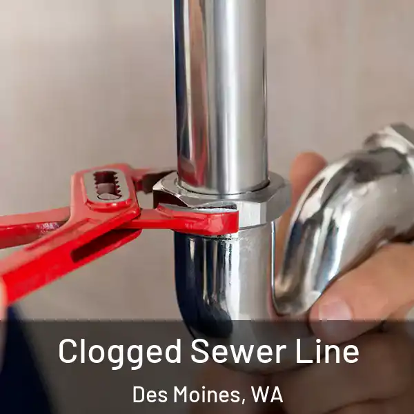  Clogged Sewer Line Des Moines, WA
