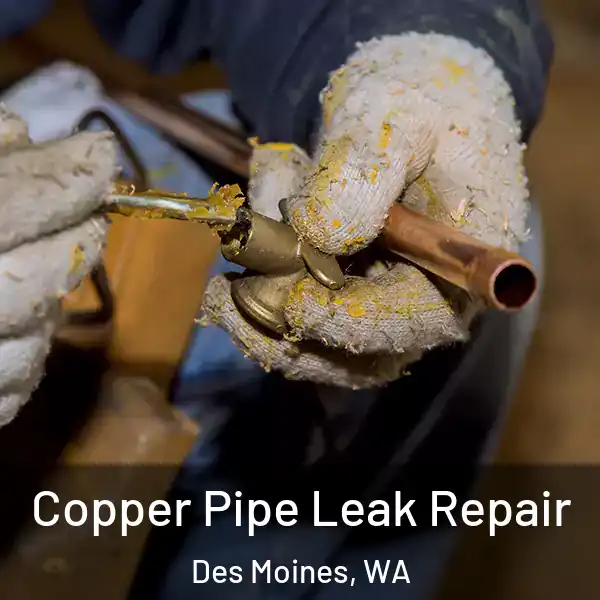  Copper Pipe Leak Repair Des Moines, WA