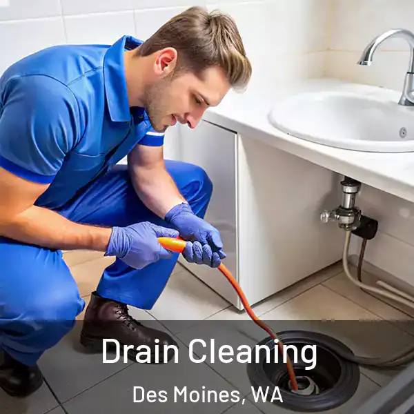  Drain Cleaning Des Moines, WA