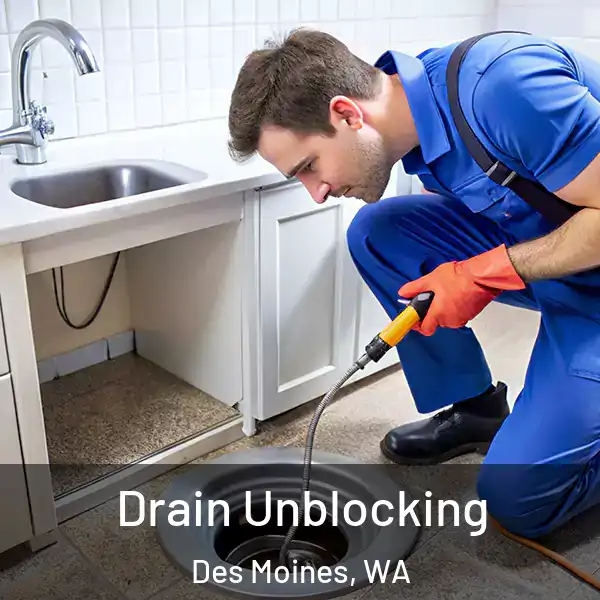  Drain Unblocking Des Moines, WA