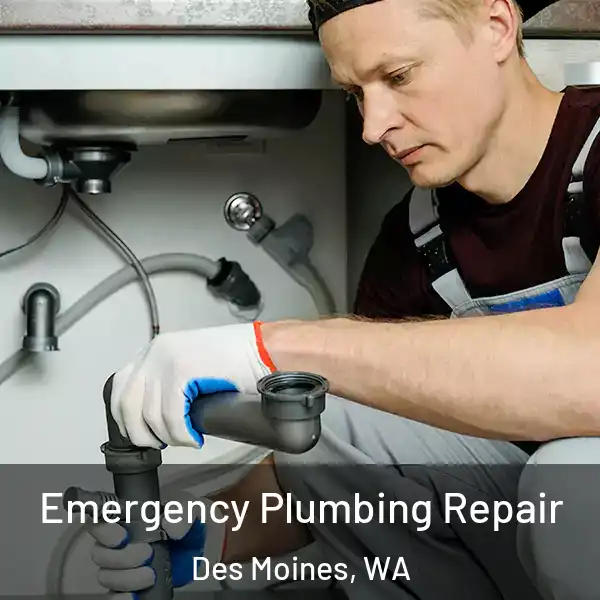  Emergency Plumbing Repair Des Moines, WA