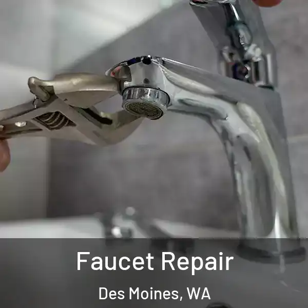  Faucet Repair Des Moines, WA