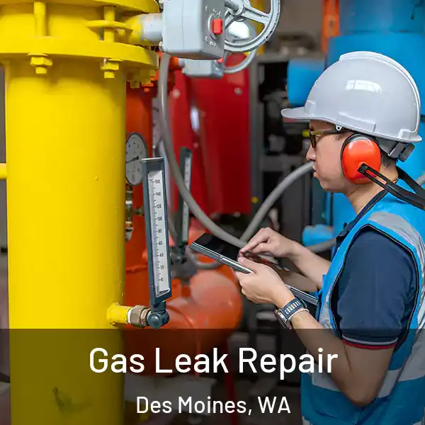  Gas Leak Repair Des Moines, WA