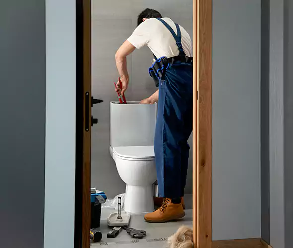 Professional Plumbers for Toilet Bowl Replacement in Des Moines, WA: Schedule Affordable Toilet Replacement Services With Us