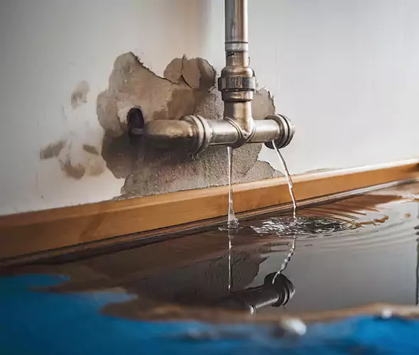 Professional Water Damage Restoration Experts in Des Moines, WA — Fast, Reliable & Certified