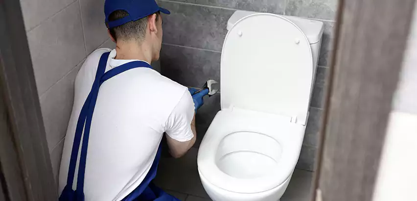 Toilet Lid Replacement in Des Moines