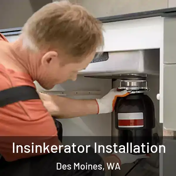 Insinkerator Installation Des Moines, WA