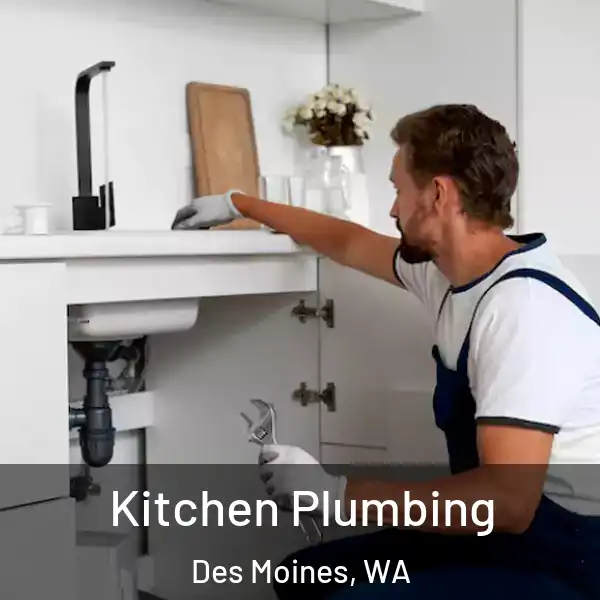  Kitchen Plumbing Des Moines, WA