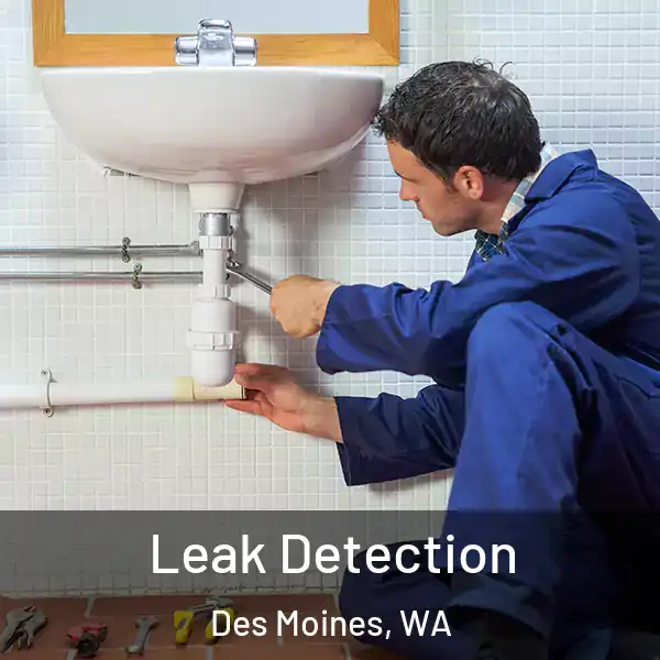  Leak Detection Des Moines, WA