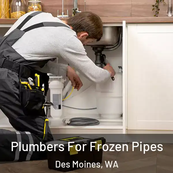  Plumbers For Frozen Pipes Des Moines, WA