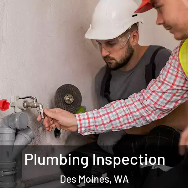 Plumbing Inspection Des Moines, WA
