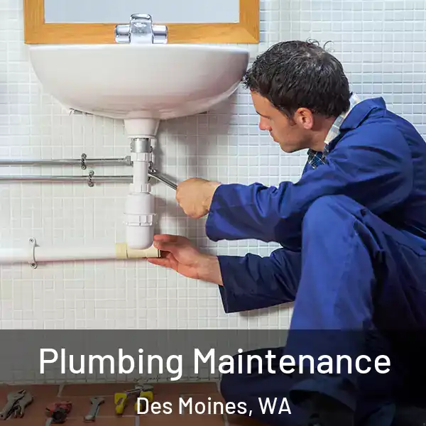  Plumbing Maintenance Des Moines, WA
