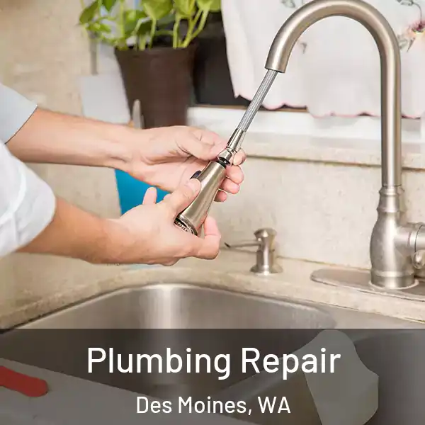  Plumbing Repair Des Moines, WA