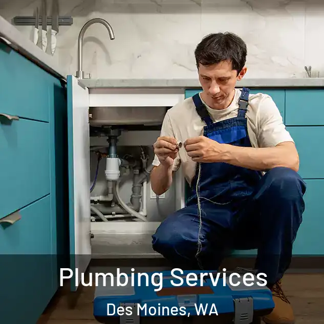 Plumbing Services Des Moines, WA