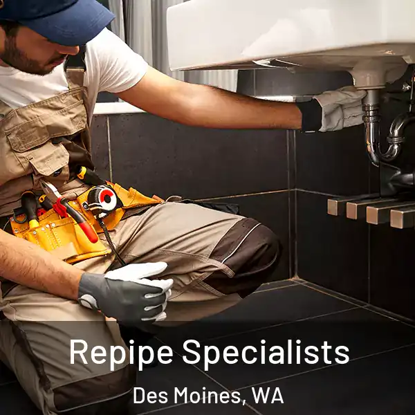  Repipe Specialists Des Moines, WA