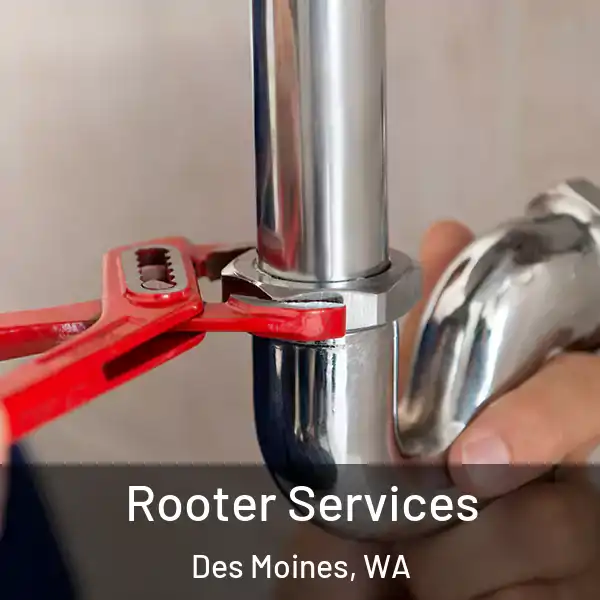  Rooter Services Des Moines, WA