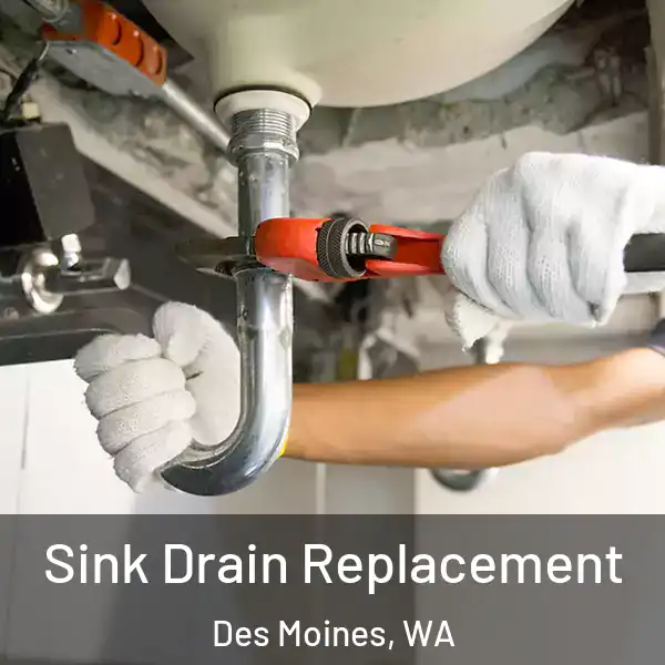 Sink Drain Replacement Des Moines, WA