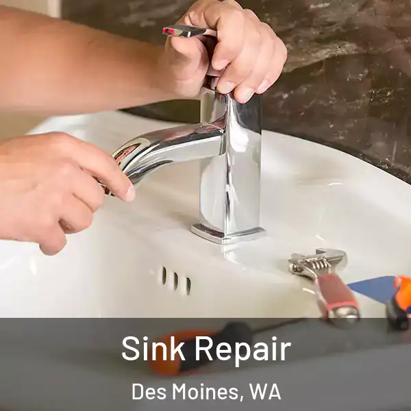 Sink Repair Des Moines, WA