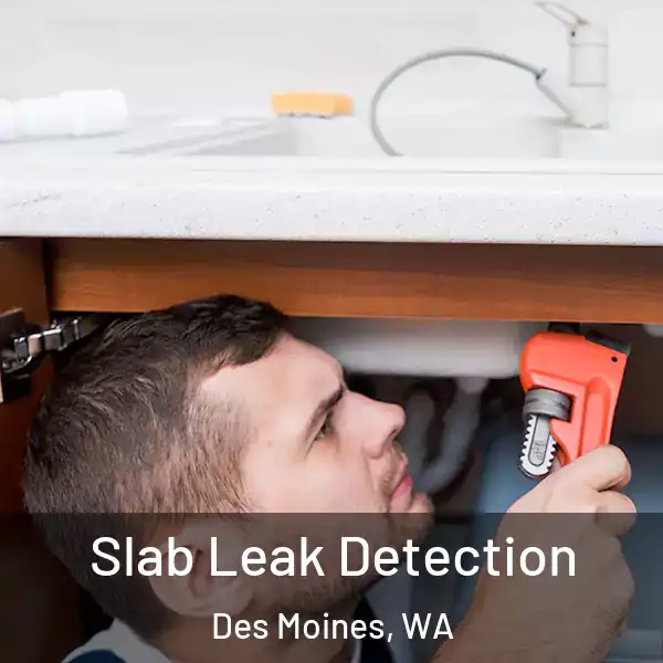  Slab Leak Detection Des Moines, WA