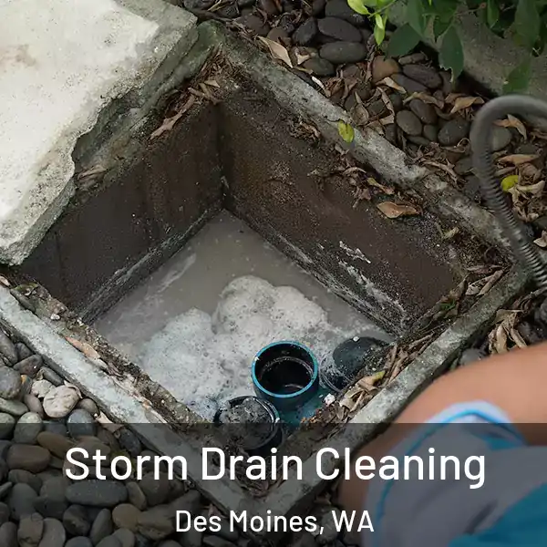  Storm Drain Cleaning Des Moines, WA
