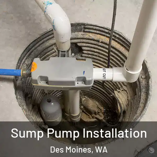  Sump Pump Installation Des Moines, WA