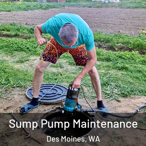  Sump Pump Maintenance Des Moines, WA