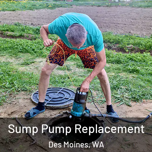  Sump Pump Replacement Des Moines, WA