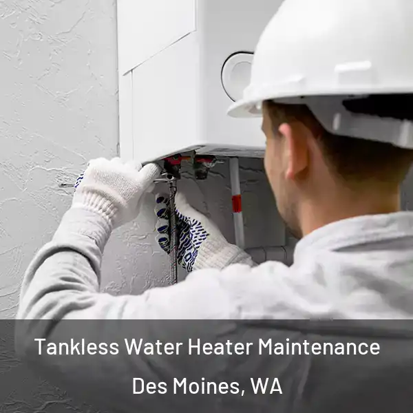  Tankless Water Heater Maintenance Des Moines, WA