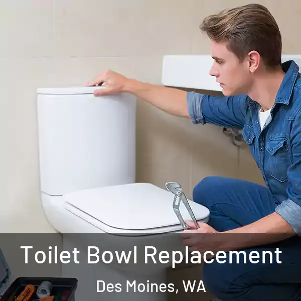  Toilet Bowl Replacement Des Moines, WA