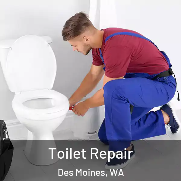  Toilet Repair Des Moines, WA