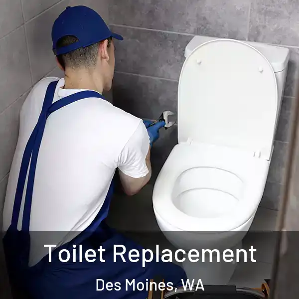  Toilet Replacement Des Moines, WA