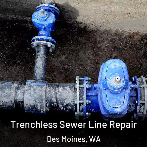  Trenchless Sewer Line Repair Des Moines, WA
