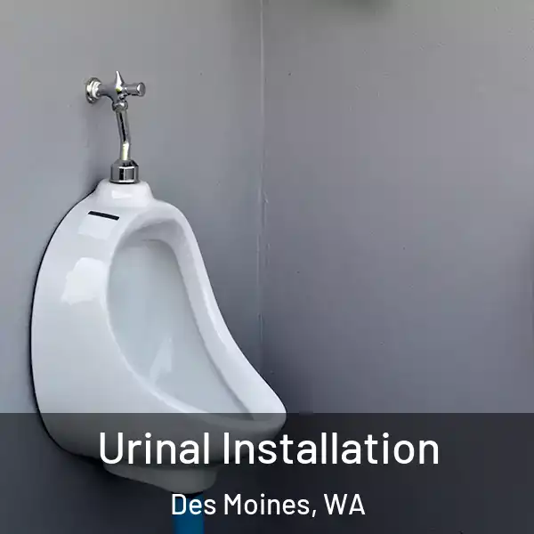  Urinal Installation Des Moines, WA
