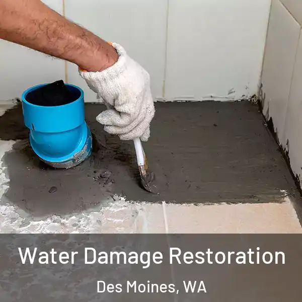  Water Damage Restoration Des Moines, WA