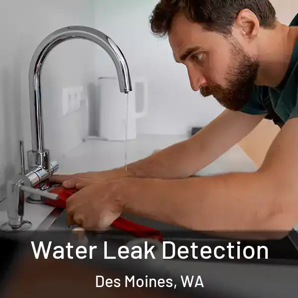  Water Leak Detection Des Moines, WA