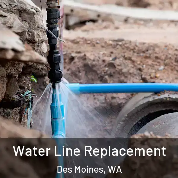  Water Line Replacement Des Moines, WA