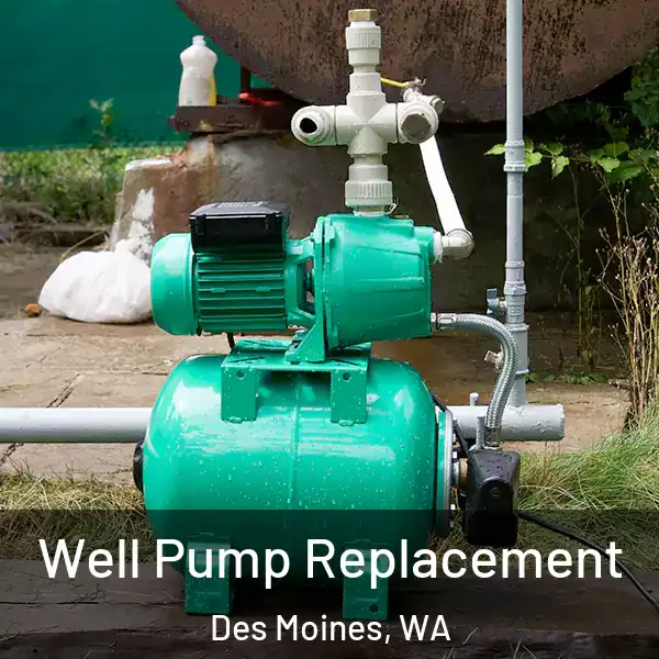  Well Pump Replacement Des Moines, WA